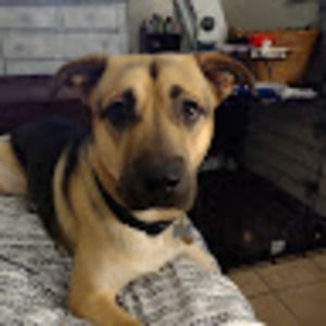 Meet your Posher, Lea